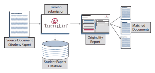 Copy Paste An Essay Without Letting Turnitin Catch You